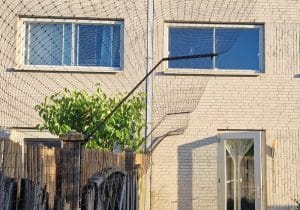 katten in de tuin houden
