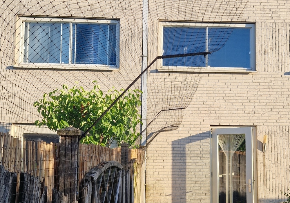 katten in de tuin houden
