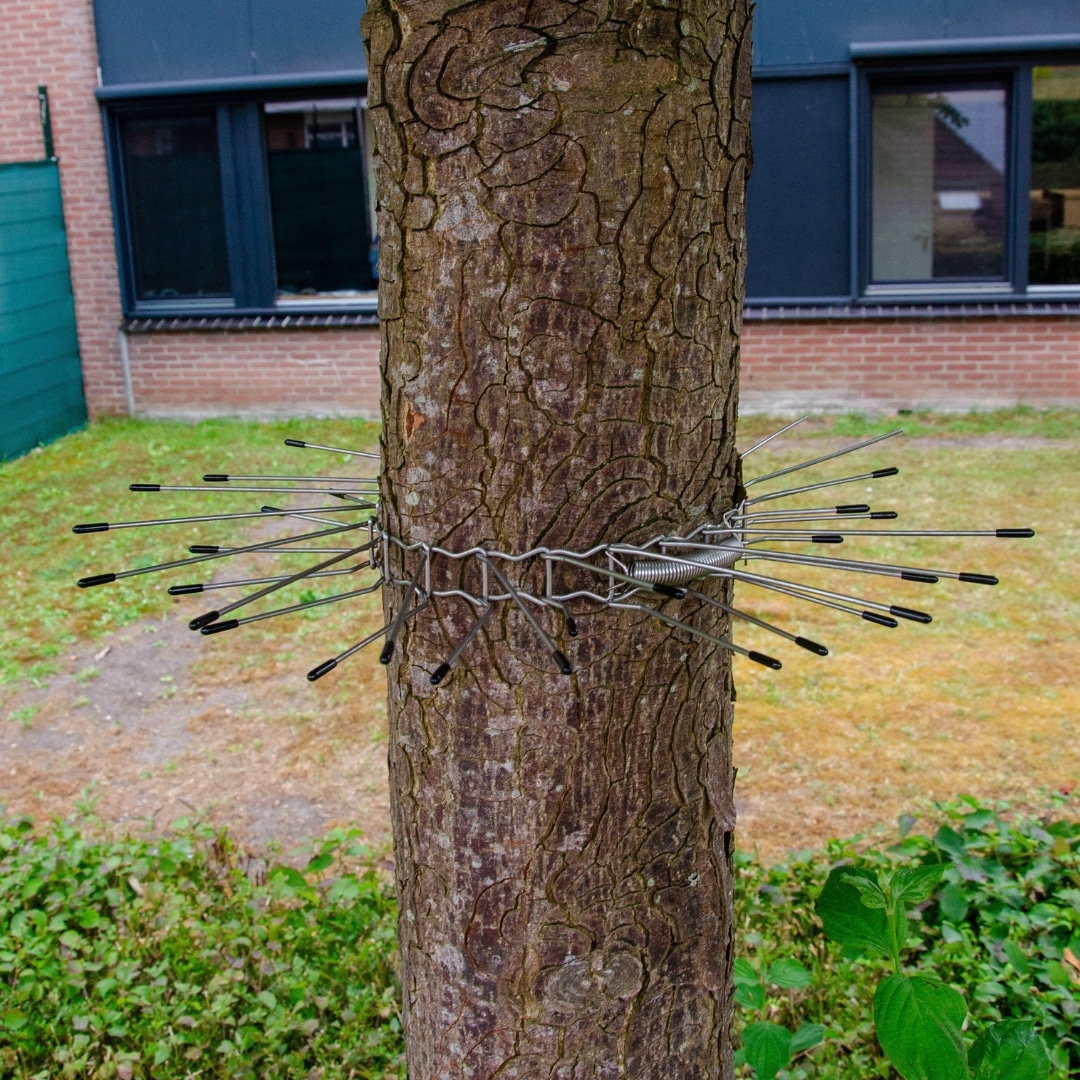 Cathappy Boomgordel - Afbeelding 4